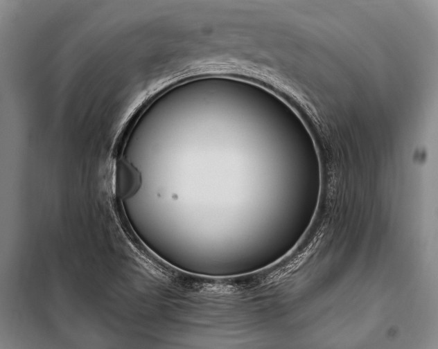 X0000100941509200807011232