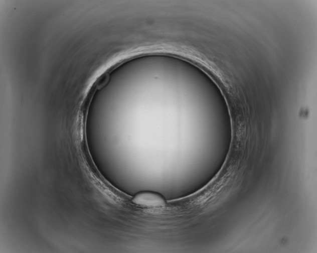 X0000100941510200807011233