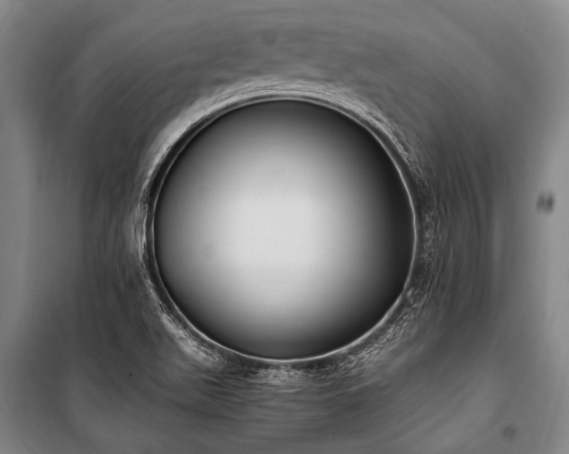 X0000100941511200807011233
