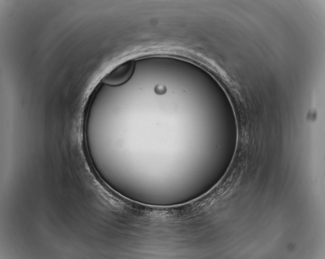 X0000100941512200807011233