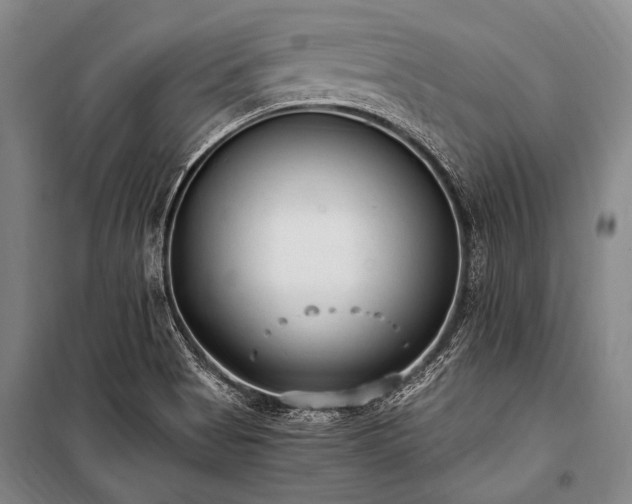 X0000100941513200807011233