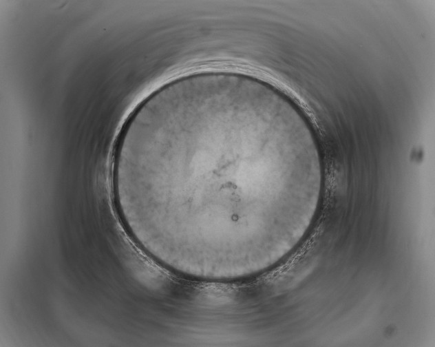X0000100941514200807011233