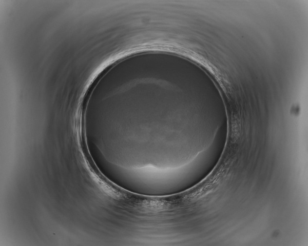 X0000100941515200807011233