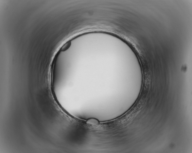 X0000100941516200807011233