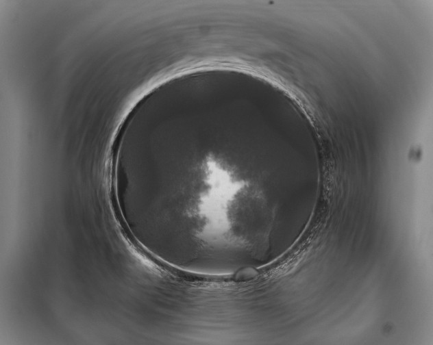 X0000100941519200807011233