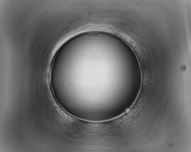 X0000100941520200807011233