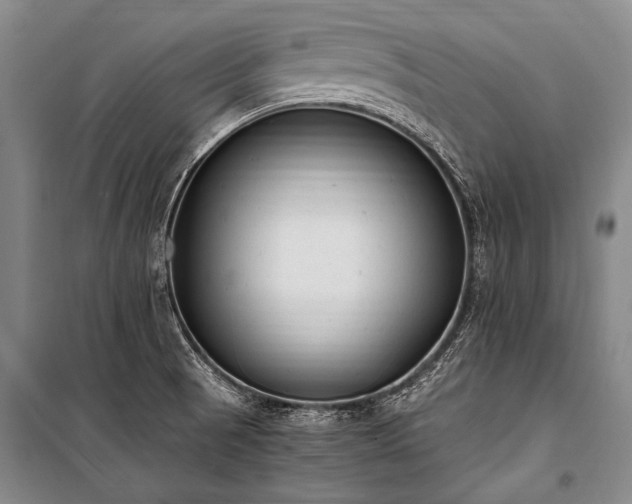 X0000100941521200807011233