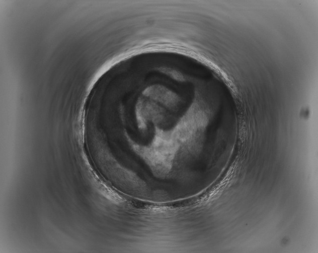 X0000100941522200807011233
