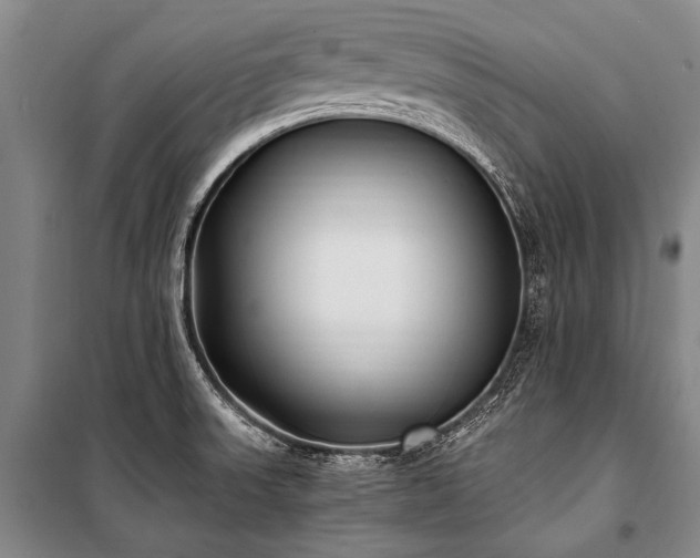 X0000100941523200807011233