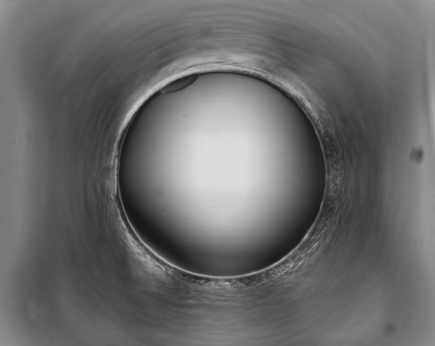 X0000100941524200807011233