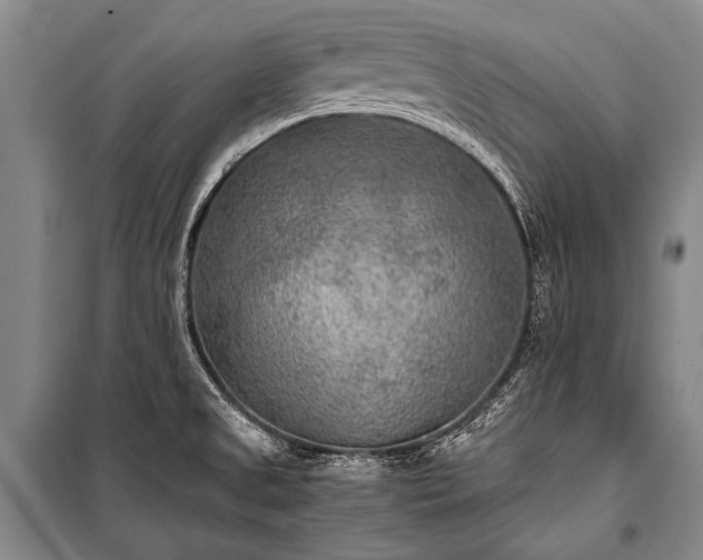 X0000100941525200807011233