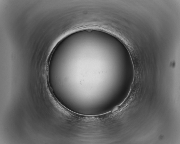 X0000100941526200807011233