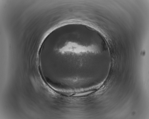 X0000100941527200807011233