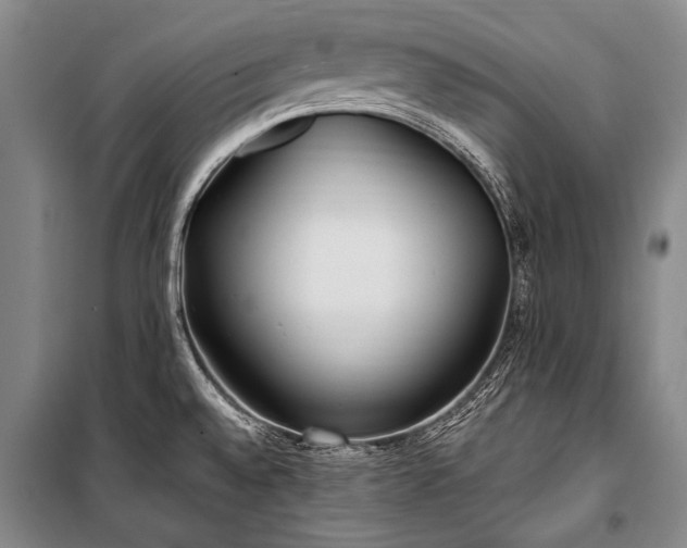 X0000100941528200807011233