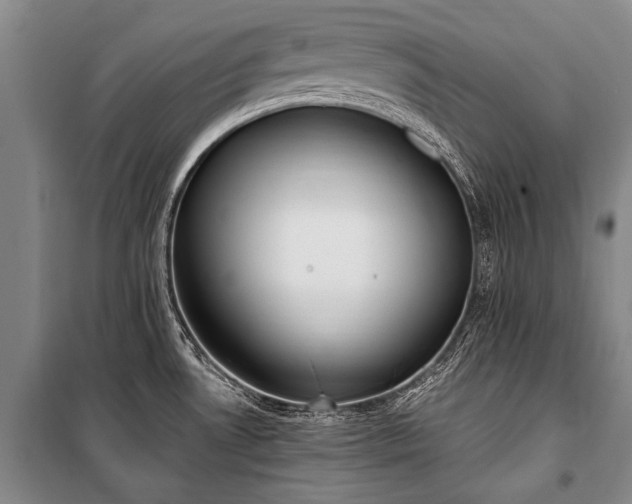 X0000100941530200807011233