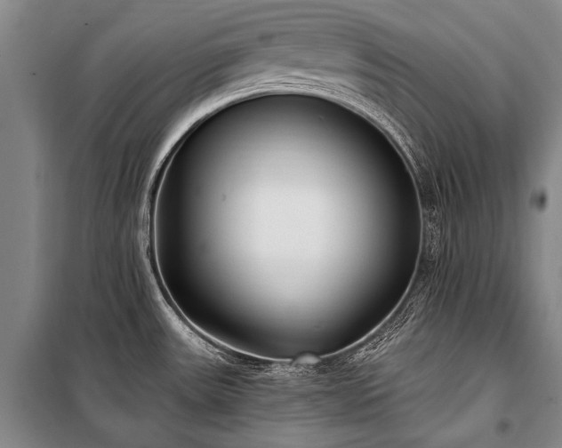 X0000100941531200807011233