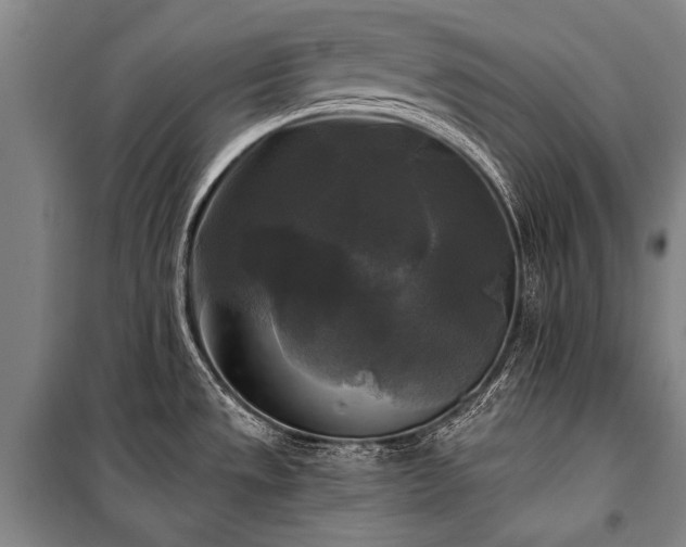 X0000100941533200807011233