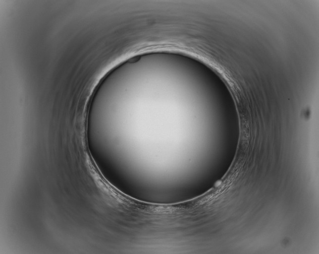 X0000100941534200807011233
