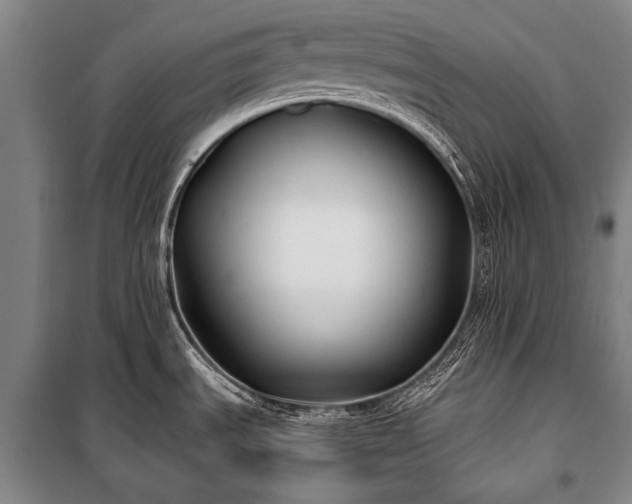 X0000100941535200807011233
