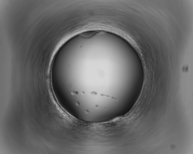 X0000100941536200807011233
