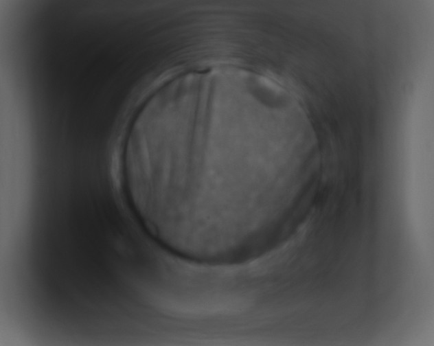 X0000100940002200807081245