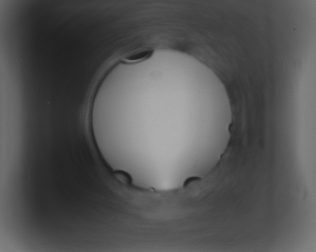 X0000100940003200807081245