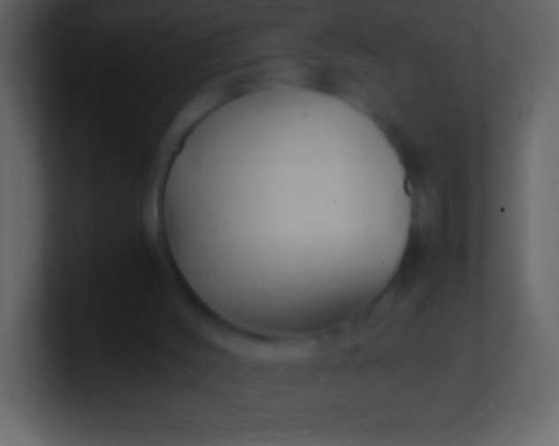 X0000100940004200807081245