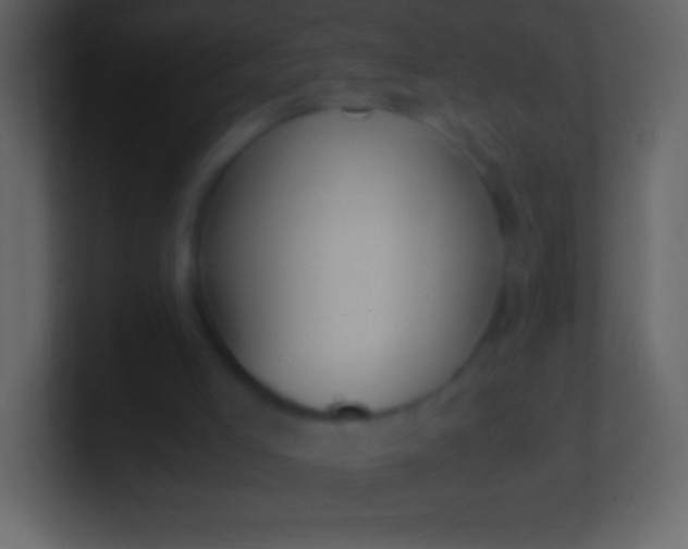 X0000100940005200807081245