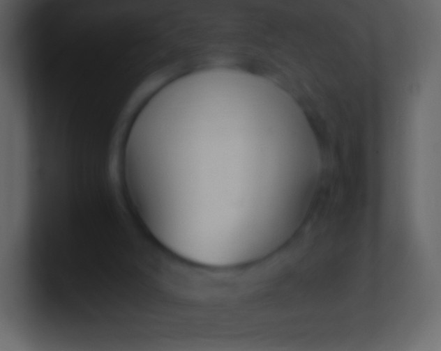 X0000100940006200807081245