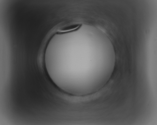 X0000100940007200807081245