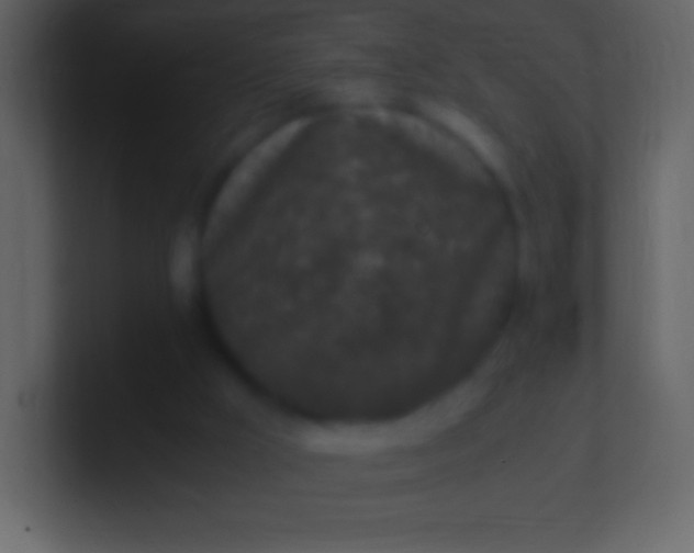 X0000100940009200807081245