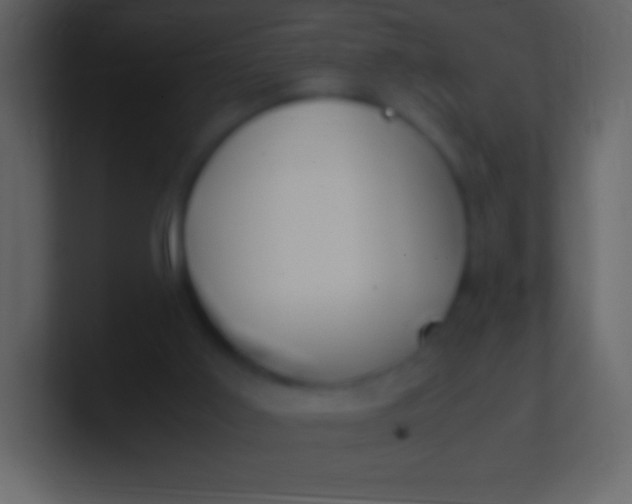 X0000100940011200807081245