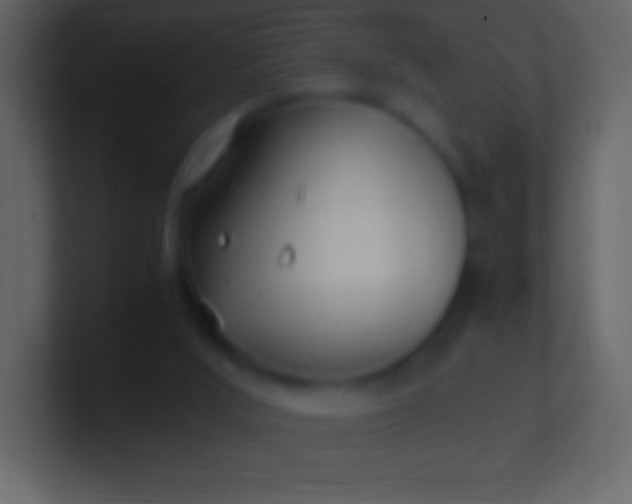 X0000100940012200807081245