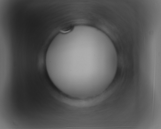 X0000100940015200807081245