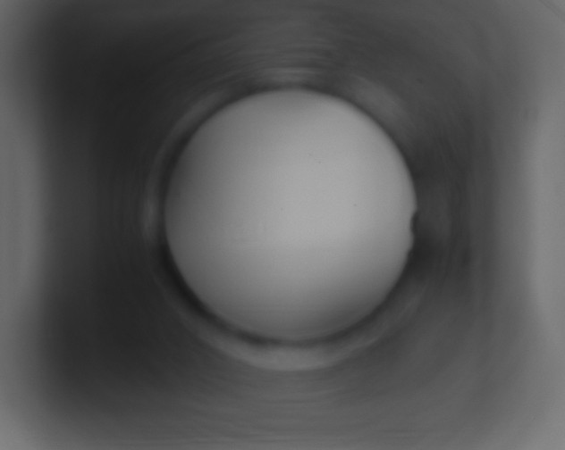 X0000100940016200807081244