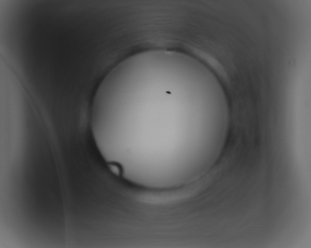 X0000100940017200807081244