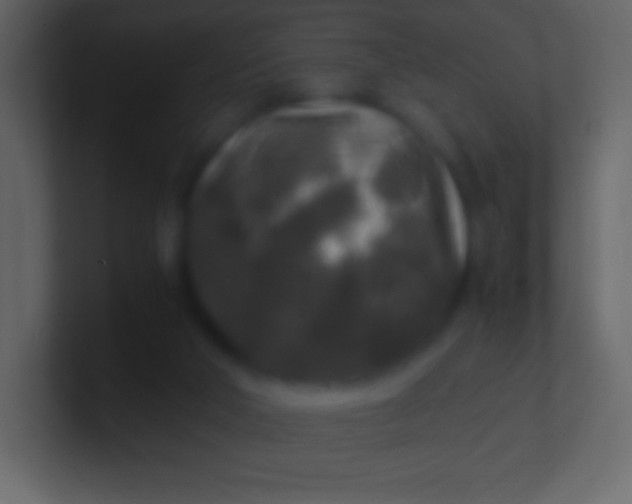 X0000100940018200807081244