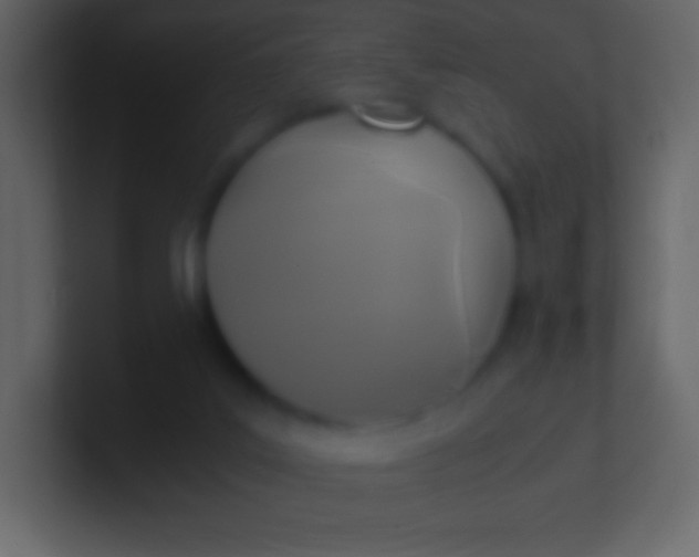 X0000100940019200807081244