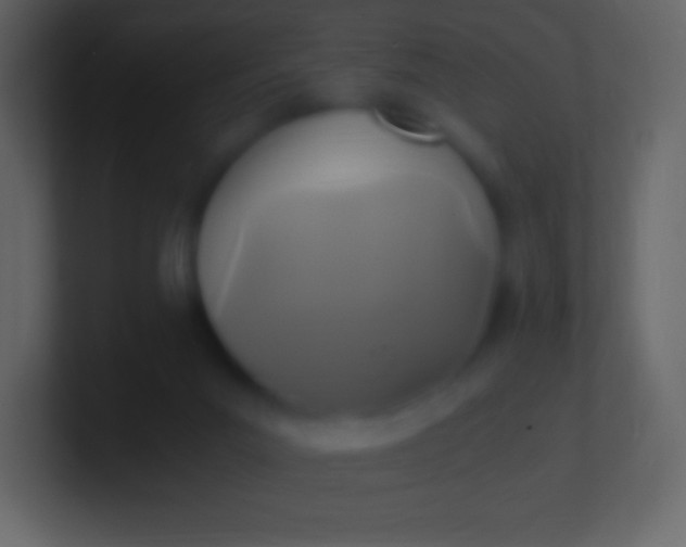 X0000100940023200807081244