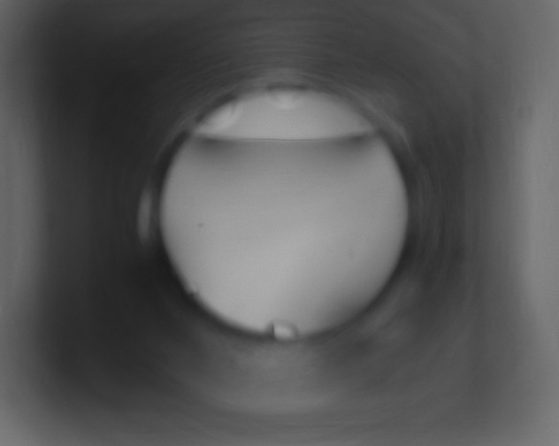 X0000100940024200807081244