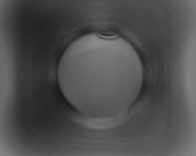 X0000100940035200807081244