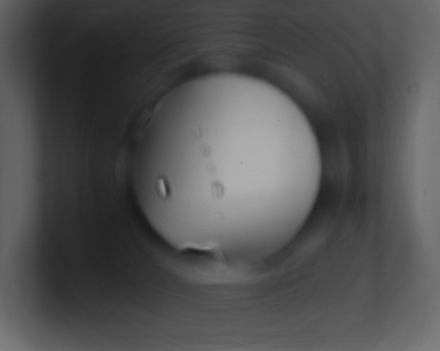 X0000100940036200807081244