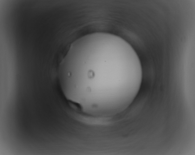 X0000100940040200807081244