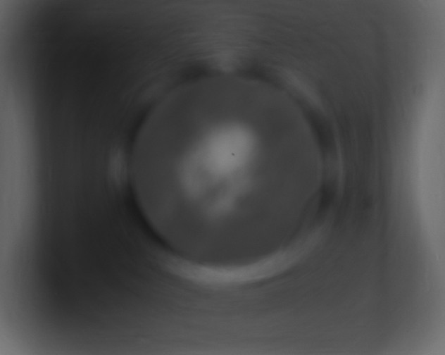 X0000100940043200807081244