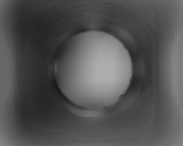 X0000100940044200807081244