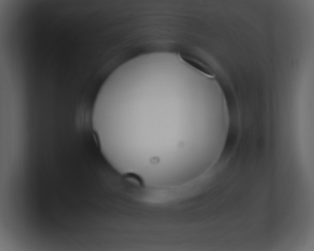 X0000100940045200807081244