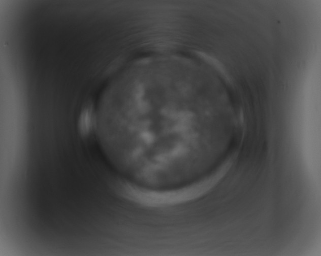 X0000100940046200807081244