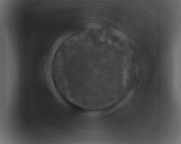 X0000100940049200807081243