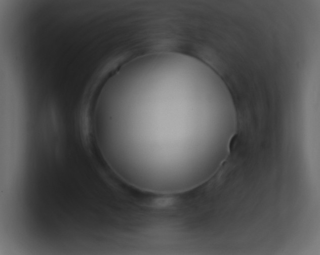 X0000100940050200807081243