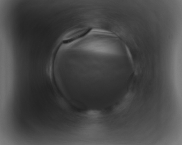 X0000100940052200807081243